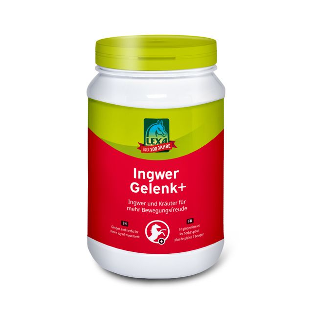 Lexa Ingwer Gelenk + 1 kg unterstützt die Gelenke Lexa Ingwer Gelenk + 1 kg unterstützt die Gelenke von Lexa