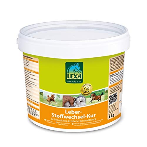 Leber-Stoffwechsel-Kur 3 kg Eimer von LEXA
