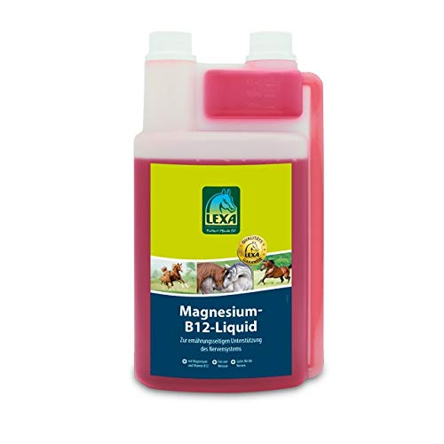 Magnesium-B12-Liquid 1 l Flasche von LEXA