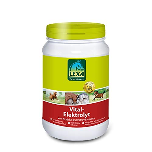 Vital-Elektrolyt 1 kg Dose von LEXA