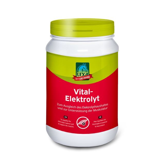 Lexa Vital-Elektrolyt 1 kg bei starkem Schweißverlust Lexa Vital-Elektrolyt 1 kg bei starkem Schweißverlust von Lexa