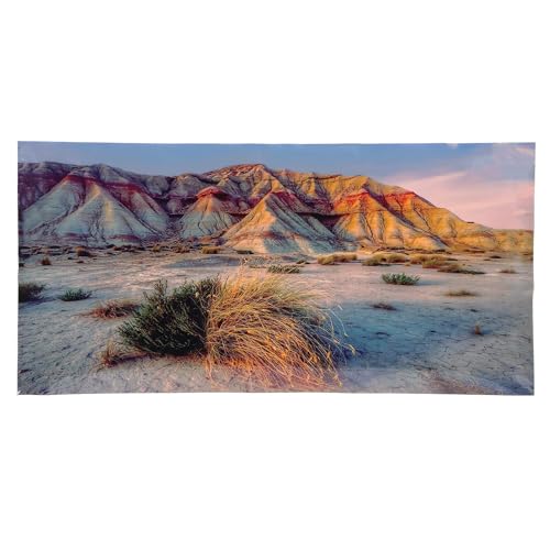 Hintergrundposter für Aquarien, Wüste, 61 x 30 cm von Leyeet