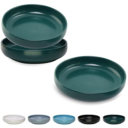 Keramik-Katzennäpfe für Whiskerei, flach, breit, für Katzen im Innenbereich, 15.5 cm, Mattes Finish, Katzenschalen für Futter und Wasser, Schnurrhaar, Müdigkeit, Katzennapf, Kätzchen, Grün Keramik-Katzennäpfe für Whiskerei, flach, breit, für Katzen im Innenbereich, 15.5 cm, Mattes Finish, Katzenschalen für Futter und Wasser, Schnurrhaar, Müdigkeit, Katzennapf, Kätzchen, Grün von Lfpkixise