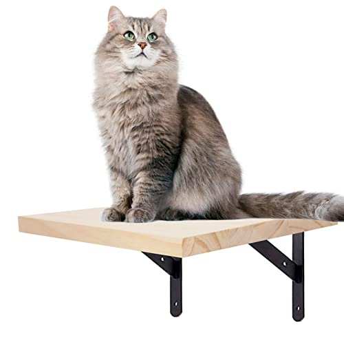 Kletterwand für Katzen, Katzentreppe Katzenstufentreppe Katzenleiter Stufen Haustier Katze Wandmontage Treppe Wandstufe Katzentreppe für Haustiere, Möbel zum Klettern, Spielen, 1-teilig Kletterwand für Katzen, Katzentreppe Katzenstufentreppe Katzenleiter Stufen Haustier Katze Wandmontage Treppe Wandstufe Katzentreppe für Haustiere, Möbel zum Klettern, Spielen, 1-teilig von LhyBtm
