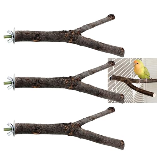 Vogel-Sitzstange aus Naturholz, Y-Form, für Nymphensittiche, Sittiche, Finken, 3 Stück Vogel-Sitzstange aus Naturholz, Y-Form, für Nymphensittiche, Sittiche, Finken, 3 Stück von LiTaiJingNice