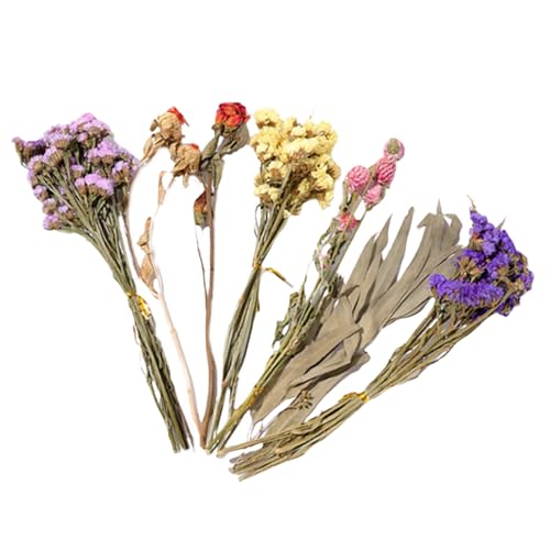 Liakyunf Hamster Heublume Einstreu, Hamster Blumenbettwäsche, Natürlich Getrockneteblumen Für Sommer Desodorierungs Und Landschafts Zubehör Liakyunf Hamster Heublume Einstreu, Hamster Blumenbettwäsche, Natürlich Getrockneteblumen Für Sommer Desodorierungs Und Landschafts Zubehör von Liakyunf