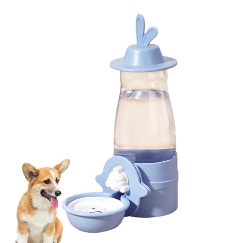 Liakyunf Hasen-Wasserspender, Frettchen-Wasserspender - Hängender Wasserbrunnenspender | Tropffreier Wasserspender 600 ml, Käfig-Wasserspender, einfaches Nachfüllen, langanhaltende Flüssigkeitszufuhr Liakyunf Hasen-Wasserspender, Frettchen-Wasserspender - Hängender Wasserbrunnenspender | Tropffreier Wasserspender 600 ml, Käfig-Wasserspender, einfaches Nachfüllen, langanhaltende Flüssigkeitszufuhr von Liakyunf