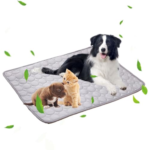 Kühlmatte für Hunde, Hundedecke kühlend 100x70cm, Ungiftiges Kaltgelpad, Waschbar Selbstkühlende Matte, Hund & Katzen Haustier Eismatte Kühlkissen, für den Innen- und Außenbereich Kisten Betten und Hu Kühlmatte für Hunde, Hundedecke kühlend 100x70cm, Ungiftiges Kaltgelpad, Waschbar Selbstkühlende Matte, Hund & Katzen Haustier Eismatte Kühlkissen, für den Innen- und Außenbereich Kisten Betten und Hu von Liamcute