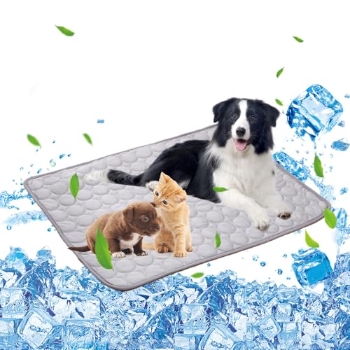 Kühlmatte für Hunde, Hundedecke kühlend 100x70cm, Ungiftiges Kaltgelpad, Waschbar Selbstkühlende Matte, Hund & Katzen Haustier Eismatte Kühlkissen, für den Innen- und Außenbereich Kisten Betten Kühlmatte für Hunde, Hundedecke kühlend 100x70cm, Ungiftiges Kaltgelpad, Waschbar Selbstkühlende Matte, Hund & Katzen Haustier Eismatte Kühlkissen, für den Innen- und Außenbereich Kisten Betten von Liamcute
