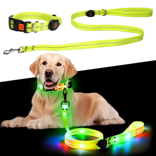 Leuchthalsband Hund, Beleuchtete Hundeleine über USB Wiederaufladbar 1,2 m, Wiederaufladbar Hundehalsband Leuchtend LED Halsband für Hunde Einstellbare Größe, für Kleine Mittlere Hunde, Wasserdicht Leuchthalsband Hund, Beleuchtete Hundeleine über USB Wiederaufladbar 1,2 m, Wiederaufladbar Hundehalsband Leuchtend LED Halsband für Hunde Einstellbare Größe, für Kleine Mittlere Hunde, Wasserdicht von Libershine