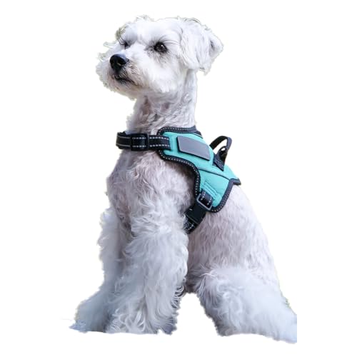 Liberte harness Hundegeschirr, kein Ziehen, Namensschild befestigbar, Türkis, Größe S von Liberte harness
