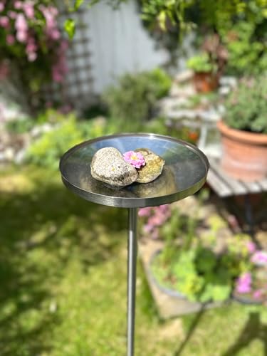 LicusDesign Vogeltränke stehend aus Edelstahl - Vogeltränke Winterfest - Vogelbad Garten stehend, Wassertränke für vögel aus Metall - Vogeltränke stehend groß, Vogelbad mit Stab LicusDesign Vogeltränke stehend aus Edelstahl - Vogeltränke Winterfest - Vogelbad Garten stehend, Wassertränke für vögel aus Metall - Vogeltränke stehend groß, Vogelbad mit Stab von LicusDesign