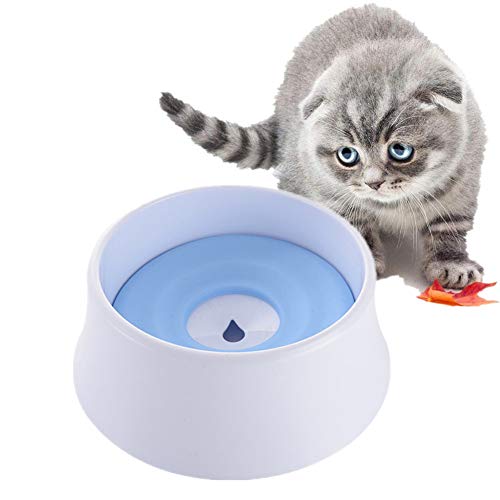 Katzennapf Wassernapf Für Hunde rutschfeste Cat Bowl Hundefutter Und Wasserschüssel Katze-Schüssel Flache Katze Schüssel Wasserfontäne Cat Bowl Blue von Lidylinashop
