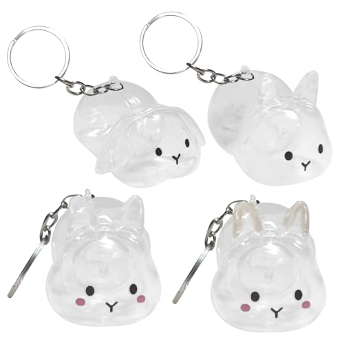 Lieawy Katzenhaar Schlüsselanhänger,4 Teile Erinnerungsanhänger - Form Klare Aufbewahrungsbox Geschenk Für Freunde Familie Zuhause Geburtstag Lieawy Katzenhaar Schlüsselanhänger,4 Teile Erinnerungsanhänger - Form Klare Aufbewahrungsbox Geschenk Für Freunde Familie Zuhause Geburtstag von Lieawy