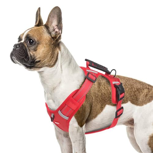 LiebeDD Hundegeschirr für Grosse Hunde Sicherheitsgeschirr Hund Ausbruchsicher, Chihuahua Geschirr Hund Panikgeschirr für Hunde Anti Zug Hundegeschirr mit Griff Dog Harness, Rot, XL LiebeDD Hundegeschirr für Grosse Hunde Sicherheitsgeschirr Hund Ausbruchsicher, Chihuahua Geschirr Hund Panikgeschirr für Hunde Anti Zug Hundegeschirr mit Griff Dog Harness, Rot, XL von LiebeDD