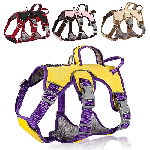 LiebeDD Hundegeschirr für Kleine Mittelgroße Hunde Welpen Geschirr, Anti Zug Geschirr Hund Sicherheitsgeschirr Ausbruchsicher, Panikgeschirr für Hunde Zuggeschirr Hund, Gelb, L LiebeDD Hundegeschirr für Kleine Mittelgroße Hunde Welpen Geschirr, Anti Zug Geschirr Hund Sicherheitsgeschirr Ausbruchsicher, Panikgeschirr für Hunde Zuggeschirr Hund, Gelb, L von LiebeDD