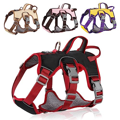 LiebeDD Hundegeschirr für Kleine Mittelgroße Grosse Hunde und Welpen, Anti Zug Geschirr Hund Sicherheitsgeschirr Ausbruchsicher Welpengeschirr No Pull Hundegeschirr Dog Harness, Schwarz, L LiebeDD Hundegeschirr für Kleine Mittelgroße Grosse Hunde und Welpen, Anti Zug Geschirr Hund Sicherheitsgeschirr Ausbruchsicher Welpengeschirr No Pull Hundegeschirr Dog Harness, Schwarz, L von LiebeDD