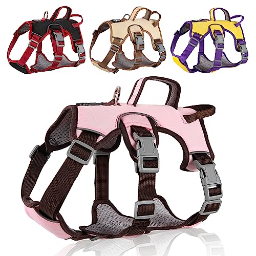 LiebeDD Hundegeschirr für Kleine Mittelgroße Hunde Welpen Geschirr, Anti Zug Geschirr Hund Sicherheitsgeschirr Ausbruchsicher, Panikgeschirr für Hunde Zuggeschirr Hund, Rosa, M LiebeDD Hundegeschirr für Kleine Mittelgroße Hunde Welpen Geschirr, Anti Zug Geschirr Hund Sicherheitsgeschirr Ausbruchsicher, Panikgeschirr für Hunde Zuggeschirr Hund, Rosa, M von LiebeDD