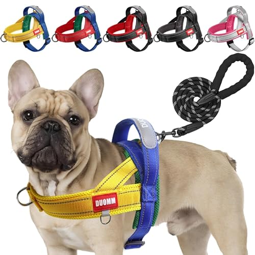 LiebeDD Hundegeschirr mit Leine für Mittelgroße Kleine Hunde Welpen, Bunt Farbblock Geschirr, Weich Gepolstert Sicherheitsgeschirr Hund mit Griff, Reflektierend & Leicht, Blau+Gelb, M LiebeDD Hundegeschirr mit Leine für Mittelgroße Kleine Hunde Welpen, Bunt Farbblock Geschirr, Weich Gepolstert Sicherheitsgeschirr Hund mit Griff, Reflektierend & Leicht, Blau+Gelb, M von LiebeDD