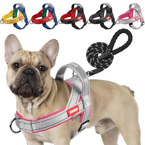 LiebeDD Hundegeschirr mit Leine für Mittelgroße Kleine Hunde Welpen, Bunt Farbblock Geschirr, Weich Gepolstert Sicherheitsgeschirr Hund mit Griff, Reflektierend & Leicht, Grau+Rosa, S LiebeDD Hundegeschirr mit Leine für Mittelgroße Kleine Hunde Welpen, Bunt Farbblock Geschirr, Weich Gepolstert Sicherheitsgeschirr Hund mit Griff, Reflektierend & Leicht, Grau+Rosa, S von LiebeDD