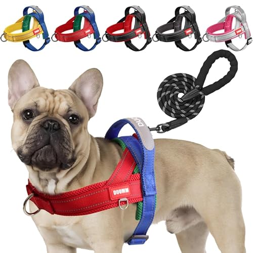 LiebeDD Hundegeschirr mit Leine für Mittelgroße Kleine Hunde Welpen, Bunt Farbblock Geschirr, Weich Gepolstert Sicherheitsgeschirr Hund mit Griff, Reflektierend & Leicht, Rot+Blau, M LiebeDD Hundegeschirr mit Leine für Mittelgroße Kleine Hunde Welpen, Bunt Farbblock Geschirr, Weich Gepolstert Sicherheitsgeschirr Hund mit Griff, Reflektierend & Leicht, Rot+Blau, M von LiebeDD