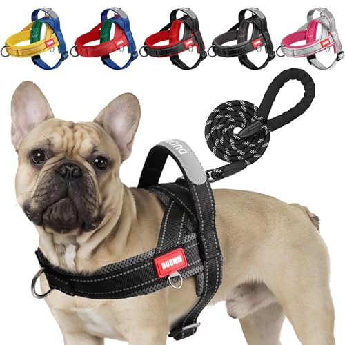 LiebeDD Hundegeschirr mit Leine für Mittelgroße Kleine Hunde Welpen, Bunt Farbblock Geschirr, Weich Gepolstert Sicherheitsgeschirr Hund mit Griff, Reflektierend & Leicht, Schwarz+Grau, L LiebeDD Hundegeschirr mit Leine für Mittelgroße Kleine Hunde Welpen, Bunt Farbblock Geschirr, Weich Gepolstert Sicherheitsgeschirr Hund mit Griff, Reflektierend & Leicht, Schwarz+Grau, L von LiebeDD