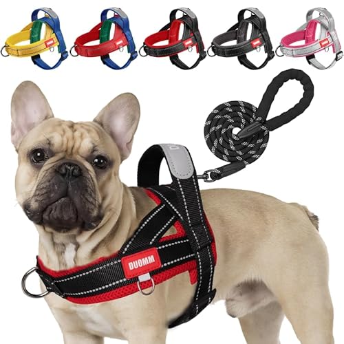 LiebeDD Hundegeschirr mit Leine für Mittelgroße Kleine Hunde Welpen, Bunt Farbblock Geschirr, Weich Gepolstert Sicherheitsgeschirr Hund mit Griff, Reflektierend & Leicht, Schwarz+Rot, M LiebeDD Hundegeschirr mit Leine für Mittelgroße Kleine Hunde Welpen, Bunt Farbblock Geschirr, Weich Gepolstert Sicherheitsgeschirr Hund mit Griff, Reflektierend & Leicht, Schwarz+Rot, M von LiebeDD