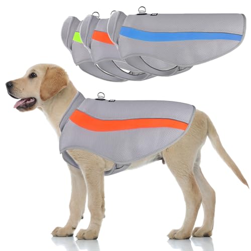 LiebeDD Kühlweste Hund Sommer Abkühlung Jacket für Hunde, Verstellbar Atmungsaktiv Hundeweste mit D-Ring Sonnenschutz Hund Warnweste Hundemantel für Kleine Mittelgroße Große Hunde, Orange, 5XL LiebeDD Kühlweste Hund Sommer Abkühlung Jacket für Hunde, Verstellbar Atmungsaktiv Hundeweste mit D-Ring Sonnenschutz Hund Warnweste Hundemantel für Kleine Mittelgroße Große Hunde, Orange, 5XL von LiebeDD