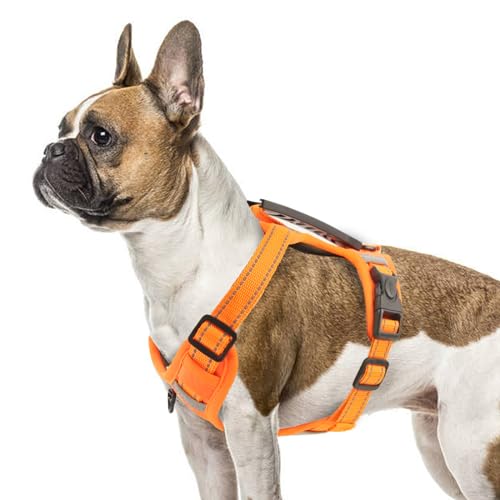 LiebeDD Hundegeschirr für Kleine Hunde Welpen und Katzen Sicherheitsgeschirr Hund Ausbruchsicher, Chihuahua Geschirr Hund Panikgeschirr für Hunde Anti Zug Hundegeschirr mit Griff, Orange, XS LiebeDD Hundegeschirr für Kleine Hunde Welpen und Katzen Sicherheitsgeschirr Hund Ausbruchsicher, Chihuahua Geschirr Hund Panikgeschirr für Hunde Anti Zug Hundegeschirr mit Griff, Orange, XS von LiebeDD