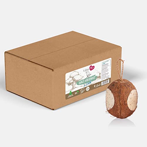 Liebesvogel für Wildvögel 4 Stück ganze Kokosnüsse für Wildvögel Vogelfutter Liebesvogel für Wildvögel 4 Stück ganze Kokosnüsse für Wildvögel Vogelfutter von Liebesvogel für Wildvögel