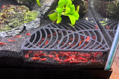 LifeWithPets Aquarium-Garnelen-Tank-Dekorationen, Eckgarnelenversteck, Garnelenhöhle, Zucht von Garnelenversteck, Garnelentunnel LifeWithPets Aquarium-Garnelen-Tank-Dekorationen, Eckgarnelenversteck, Garnelenhöhle, Zucht von Garnelenversteck, Garnelentunnel von LifeWithPets