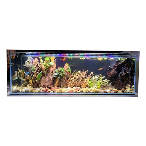 Bücherregal für Aquarium, eiserarm, Glas, 5 mm, 76 x 15 x 20 cm von Lifegard Aquatics