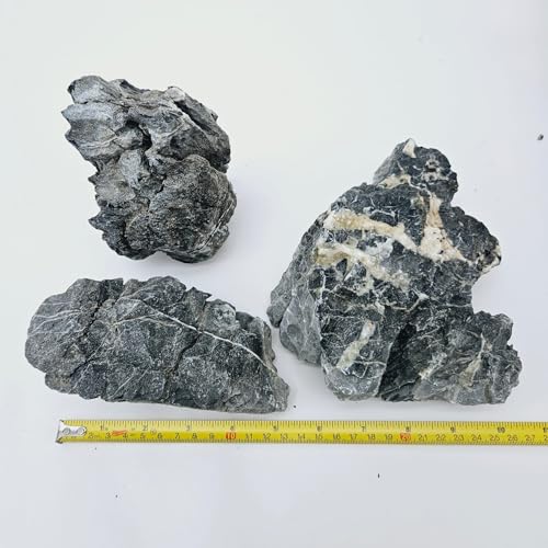 Lifegard Aquatics Smoky Mountain Seiryu Stone – 0,5 kg gemischte Größe, Set aus mittleren und kleinen Felsen (für Dekoration, Teiche, Aquarien und Aquascaping) von Lifegard Aquatics