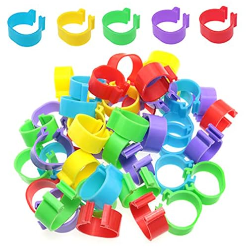 100pcs Hühnchen -Identifikationsband Chicken Beinbänder 16mm Tag Band 5Color Entenbänder Lieferungen Plastikbein für Hühnergeflügel, Tag 100pcs Hühnchen -Identifikationsband Chicken Beinbänder 16mm Tag Band 5Color Entenbänder Lieferungen Plastikbein für Hühnergeflügel, Tag von Ligeinsrk