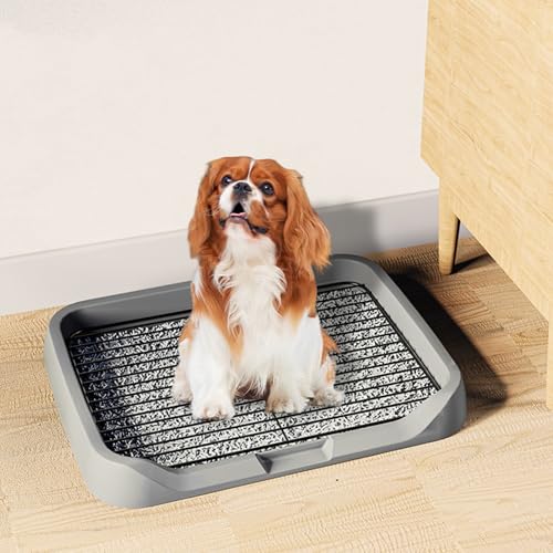 Hundetöpfchenschale, 18x14x2 Zoll spritzsicherer Hundetoilette mit Wand, abnehmbar und leicht zu reinigen Haustiervorräte für Zuhause, Tierhandlung, Katzentoilette, Innentöpfchen Hundetöpfchenschale, 18x14x2 Zoll spritzsicherer Hundetoilette mit Wand, abnehmbar und leicht zu reinigen Haustiervorräte für Zuhause, Tierhandlung, Katzentoilette, Innentöpfchen von Ligeinsrk