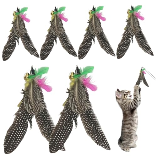 Ligeinsrk Cat -Zauberstab -Befestigungsspielzeug 6pcs BITISPESTANT CAT von Ligeinsrk