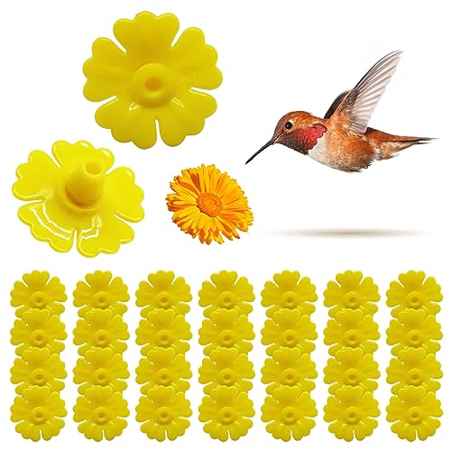 Ligeinsrk Hummingbird -Feeder -Teile 30pcs 1.2in polygonaler Kolibri -Feeder Ersatzblüten Kunststoff wasserdichte Bienenwächter für Yellowfeeder von Ligeinsrk