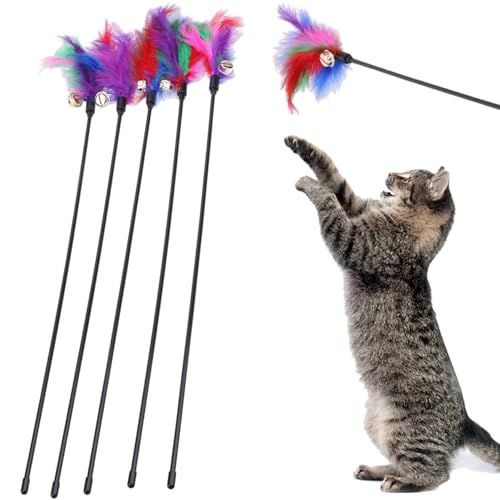 Ligeinsrk Katzenteaser mit Bell 5pcs 24 -Zoll -Plastikkatze Zauberstab Spielzeug mit farbenfroh von Ligeinsrk