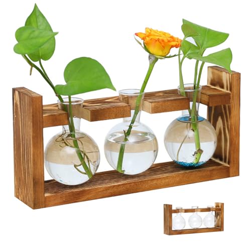 Pflanzenverbreitungsstationen Pflanzen Terrarium Glasspflanzer mit Holzstand für Hydroponische Pflanzen Büro -Heimdekoration Pflanzenverbreitungsstationen Pflanzen Terrarium Glasspflanzer mit Holzstand für Hydroponische Pflanzen Büro -Heimdekoration von Ligeinsrk
