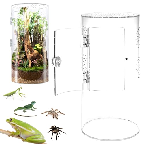 Sprungspinnengehäuse, vorderes Spinnen -Terrarium mit Kreuzbelüftung, wasserdichtes Acryl -Reptiliengehäuse, Tarantula Sprungspinnengehäuse, vorderes Spinnen -Terrarium mit Kreuzbelüftung, wasserdichtes Acryl -Reptiliengehäuse, Tarantula von Ligeinsrk