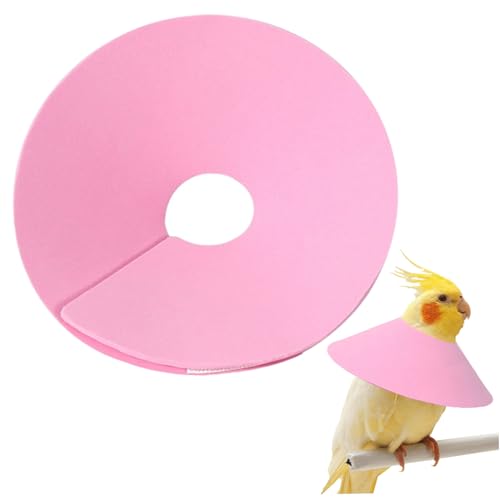 Vogelkragen Eva wasserdichte Anti-Plucking & Anti-Scratch-Haustier-Cockatiel Recovery Collar Protective Cover für Hamster Kaninchen kleine Haustiere, Vogel, Kegel für Hunde nach der Operation von Ligeinsrk
