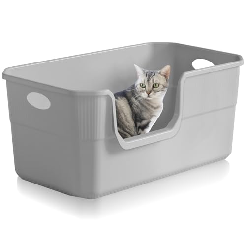 Lighterday Katzenklo Hoher Rand 50 x 35 x 22cm,Katzentoilette Groß, Katzenklo XXL Ohne Deckel Katzenklo Groß Katzentoiletten für Katze, Kaninchen,Kätzchen (Gray 50×35×22CM) von Lighterday