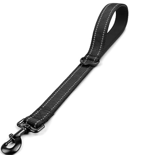 Kurze Hundeleine aus Nylon mit robustem Metallclip und weich gepolstertem Griff für große und mittelgroße Hunde – langlebige, bequeme Leine für den täglichen Gebrauch (Schwarz, L) von Lihtaiyi