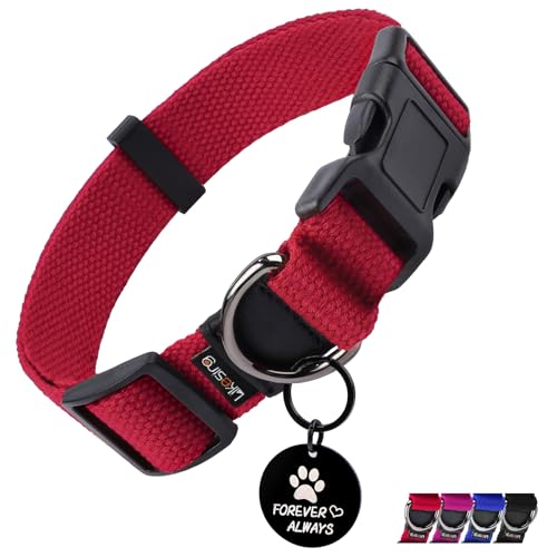 Likesing Großes Hundehalsband für Mädchen und Jungen, klassisches Hundehalsband für kleine Hunde, weiblich, männlich, Haustier, Katzen, Welpenhalsband, extra kleines Hundehalsband für Streu mit Likesing Großes Hundehalsband für Mädchen und Jungen, klassisches Hundehalsband für kleine Hunde, weiblich, männlich, Haustier, Katzen, Welpenhalsband, extra kleines Hundehalsband für Streu mit von Likesing