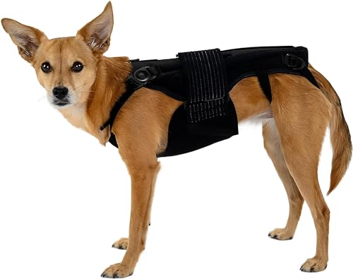 Animal Ortho Care Haute L'il Rückenbandage – mit beruhigenden Wärmewärmern, orthopädische Unterstützung für Hunde mit Arthritis, vor- und postchirurgischer Wirbelsäulenunterstützung, Bandscheibenvorfall (mittel) von Lil Back Bracer