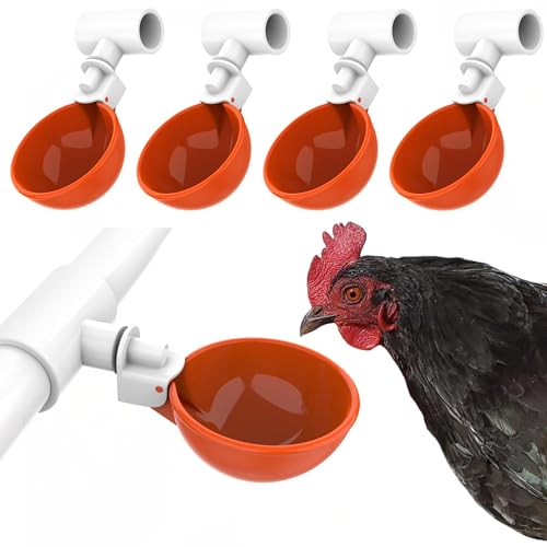 Lil'Clucker Große automatische Hühner-Bewässerungsbecher und 1.27 cm PVC-T-Armaturen – Hühner-Wasserbecher, Hühner-Wasserspender, Gans, Truthahn – Geflügelbewässerungs-Set – 5er-Pack (orange) von Lil'Clucker