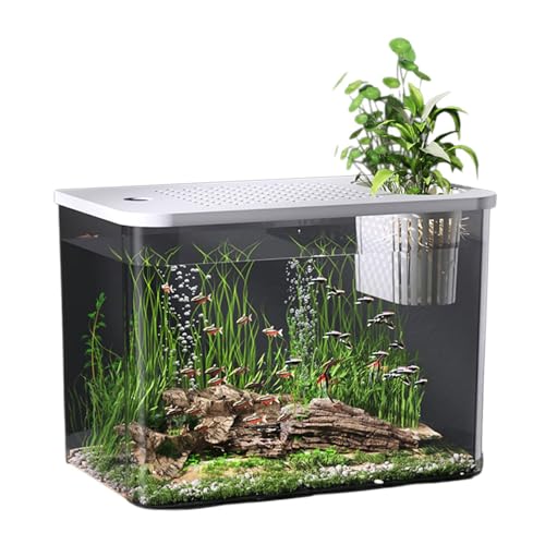 Leckfeste Aquarien Tanks Goldfischbehälter Moderne Designökologische Fischtanks Für Fische Und Dekorative Wasserpflanze Klare Aquarienpanzer Leckfeste Aquarien Tanks Goldfischbehälter Moderne Designökologische Fischtanks Für Fische Und Dekorative Wasserpflanze Klare Aquarienpanzer von Lilinzhi
