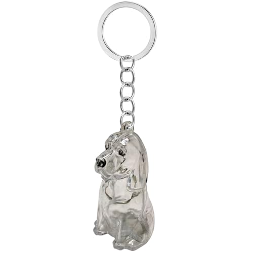 Lilinzhi Clear Dog Fells Storage Box Haarsammler Wasserdichtes Andenken Schlüsselbund Für Haustierbesitzer Um Kostbare Erinnerung Nie von Lilinzhi
