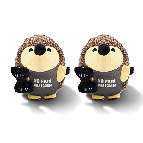 Lily Anne Pet Boutique Igel-Hundespielzeug mit Plüschhantel, großes molliges Spielzeug für Hunde, zum Kauen von Fitness, 20,3 cm (2 Stück, Fitness) von Lily Anne Pet Boutique