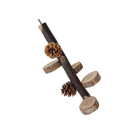 Lily Brown Leiter Spielzeug Für Vogel Barsch Stehen Schleifen Kratzer Barsch Tannenzapfen Backenzahn Kauen Spielzeug Für Papageien Sittiche Spielzeug Vogel Lily Brown Leiter Spielzeug Für Vogel Barsch Stehen Schleifen Kratzer Barsch Tannenzapfen Backenzahn Kauen Spielzeug Für Papageien Sittiche Spielzeug Vogel von Lily Brown